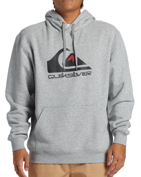 BIG LOGO HOODIE