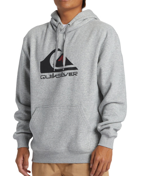 BIG LOGO HOODIE