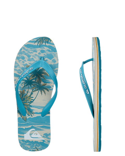 MOLOKAI ART 26