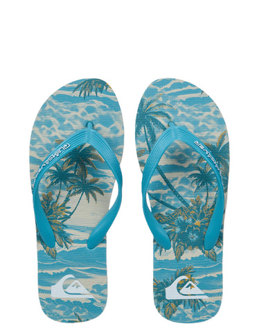 MOLOKAI ART 26