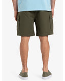 TAXER CARGO WS