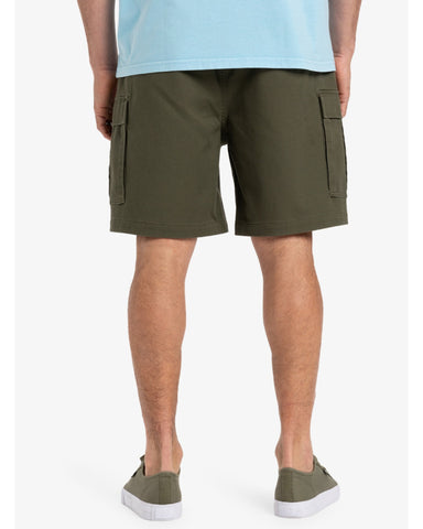 TAXER CARGO WS