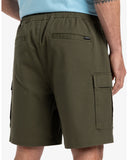 TAXER CARGO WS