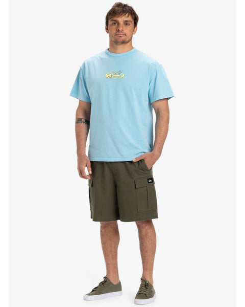 TAXER CARGO WS