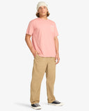 SUNRISE PREMIUM WW SS