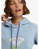 SURF STOKED HOODIE BRUSHED ART