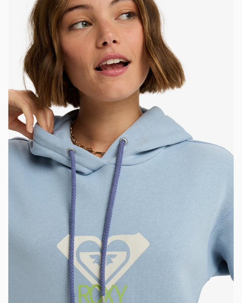 SURF STOKED HOODIE BRUSHED ART
