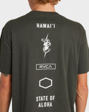 HAWAII SQUADRON SS